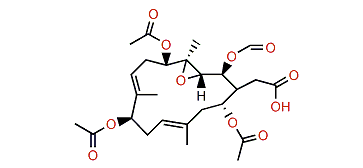 Michaolide O